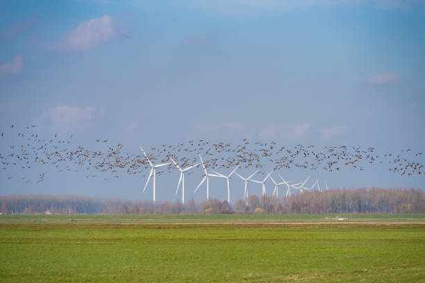 row of wind turbines stock photo