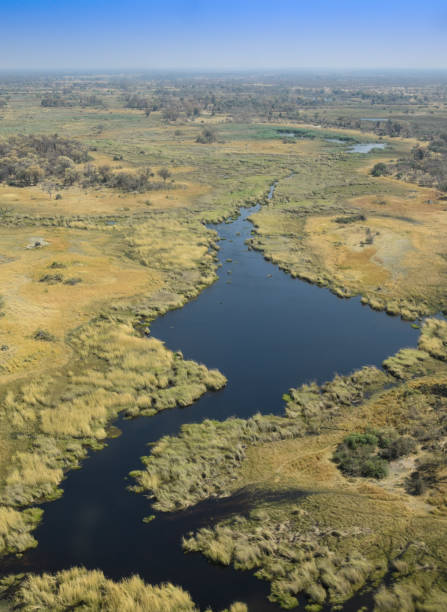 istock Aerial view of the Okavango Delta 1171475888