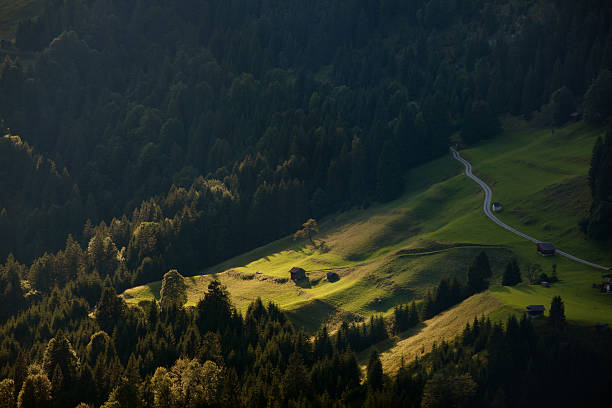 Morning rural landscape
