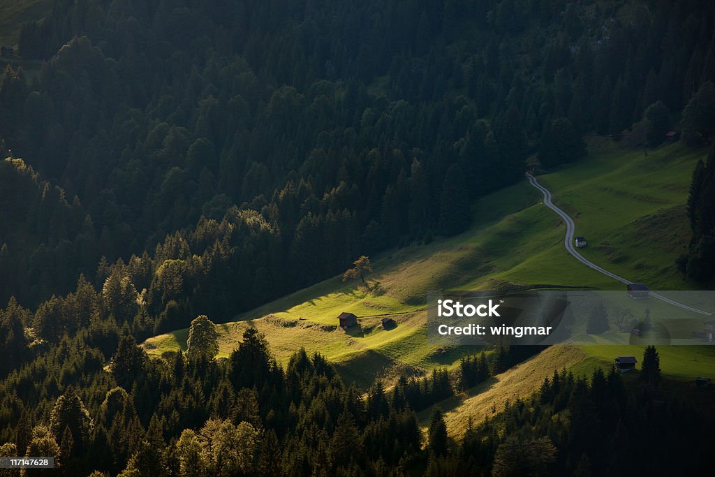 spot light on a alpine alm meadow in trio, austria  Agriculture Stock Photo