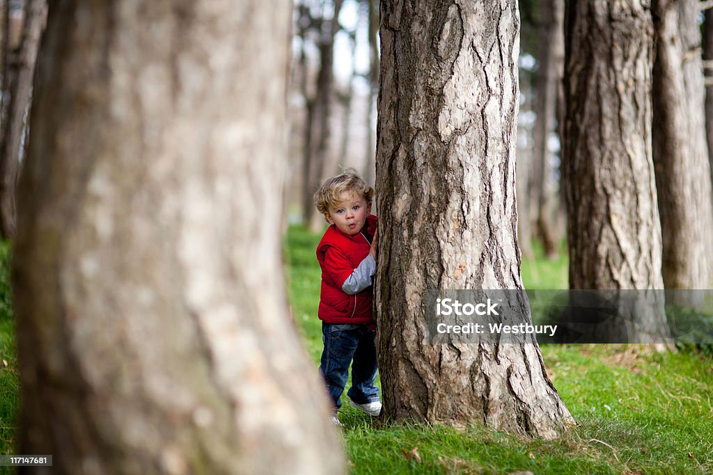 Menino s'escondendo atrás de árvore - Foto de stock de Bosque - Floresta royalty-free