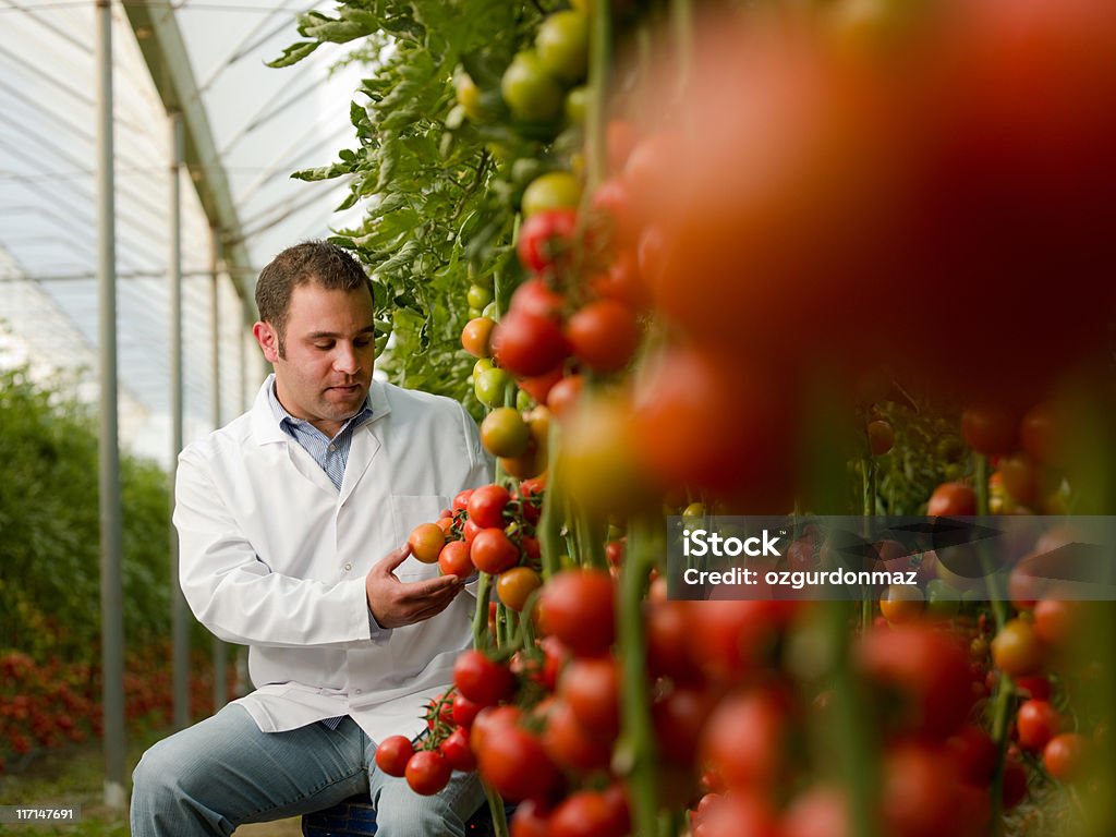 Scienziato in serra - Foto stock royalty-free di Scienza