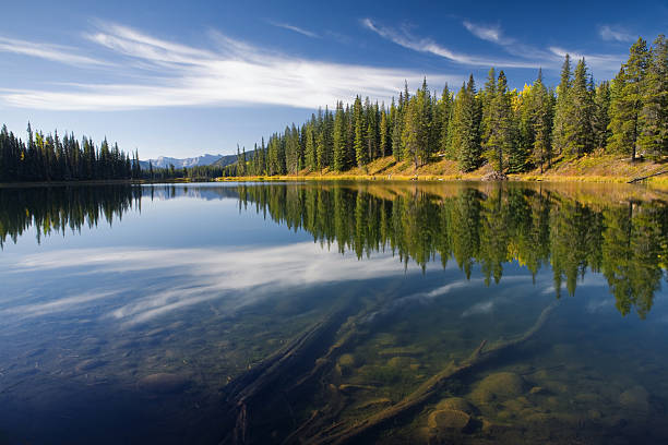 istock idyllic lake in alberta, canada with view on the ground 117147771