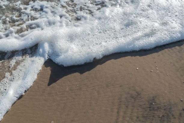 istock Detailed beach sand and foam water on backgrounds 1171479920