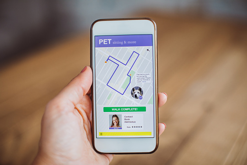 Dog owner using pet sitting and walking mobile phone application for booking dog walkers. Looking through finished job. Hand with phone.