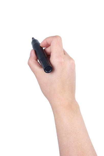 istock Woman hand holding a marker pen on white background 1171480396