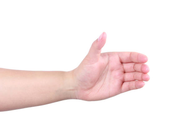 istock Woman hand holding something on white background 1171480397