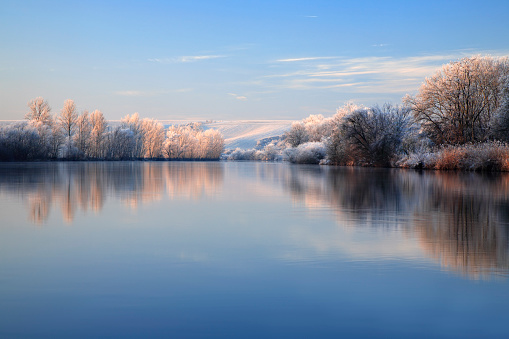 Frosty trees on a cold winter day in the countryside