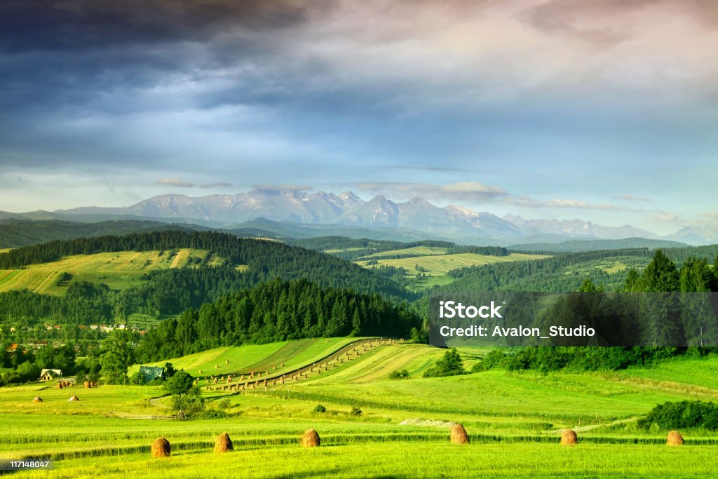 Paisaje de montaña - Foto de stock de Polonia libre de derechos
