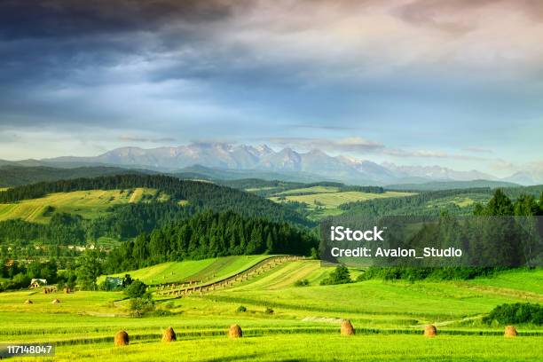 Paisaje De Montaña Foto de stock y más banco de imágenes de Polonia - Polonia, Paisaje no urbano, Aldea