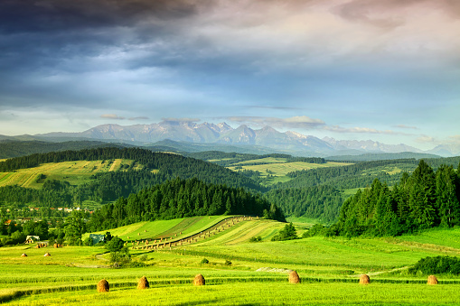 Mountain landscape - Poland Bieszczady - Czorsztyn\n\n[url=http://www.istockphoto.com/file_search.php?action=file&lightboxID=8732164][img]http://www.avalonstudio.eu/istock/vetta.jpg[/img][/url]\n[url=http://www.istockphoto.com/file_search.php?action=file&lightboxID=8721712][img]http://www.avalonstudio.eu/istock/nature.jpg[/img][/url]\n[url=http://www.istockphoto.com/search/lightbox/12336226#c53d328][img]http://www.avalonstudio.eu/istock/mountain.jpg[/img][/url]\n\n[url=file_closeup.php?id=25082637][img]file_thumbview_approve.php?size=1&id=25082637[/img][/url] [url=file_closeup.php?id=20185742][img]file_thumbview_approve.php?size=1&id=20185742[/img][/url] [url=file_closeup.php?id=20231010][img]file_thumbview_approve.php?size=1&id=20231010[/img][/url] 