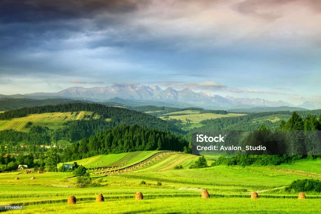 Mountain landscape Mountain landscape - Poland Bieszczady - Czorsztyn

[url=http://www.istockphoto.com/file_search.php?action=file&lightboxID=8732164][img]http://www.avalonstudio.eu/istock/vetta.jpg[/img][/url]
[url=http://www.istockphoto.com/file_search.php?action=file&lightboxID=8721712][img]http://www.avalonstudio.eu/istock/nature.jpg[/img][/url]
[url=http://www.istockphoto.com/search/lightbox/12336226#c53d328][img]http://www.avalonstudio.eu/istock/mountain.jpg[/img][/url]

[url=file_closeup.php?id=25082637][img]file_thumbview_approve.php?size=1&id=25082637[/img][/url] [url=file_closeup.php?id=20185742][img]file_thumbview_approve.php?size=1&id=20185742[/img][/url] [url=file_closeup.php?id=20231010][img]file_thumbview_approve.php?size=1&id=20231010[/img][/url]  Poland Stock Photo