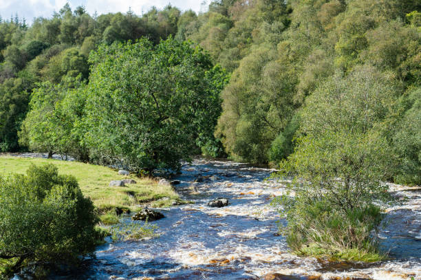 istock Small Scottish river in Dumfries and Galloway 1171481084