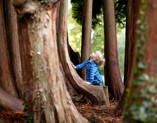 istock Boy playing in the woods and leaning on a tree 117148161