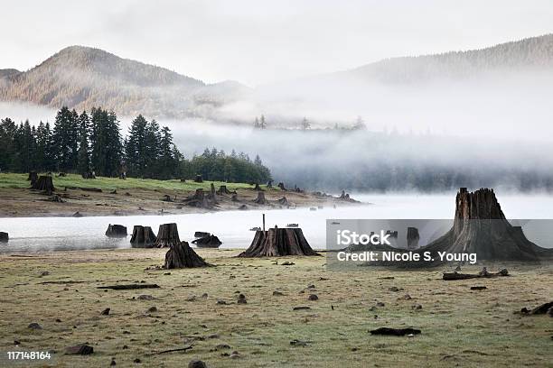 Eerie Landscape Stock Photo - Download Image Now - Bizarre, Color Image, Fog