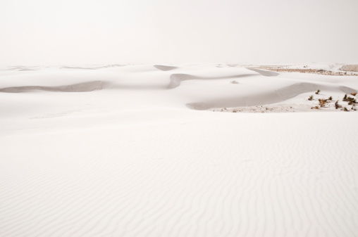 The white dunes of White Sands National Monument, New Mexico.