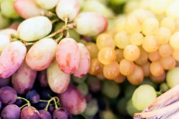 White and blue grapes background texture, autumn harvest