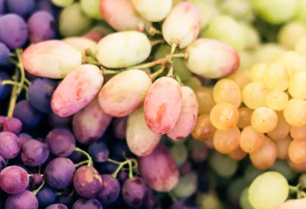 White and blue grapes background texture, autumn harvest