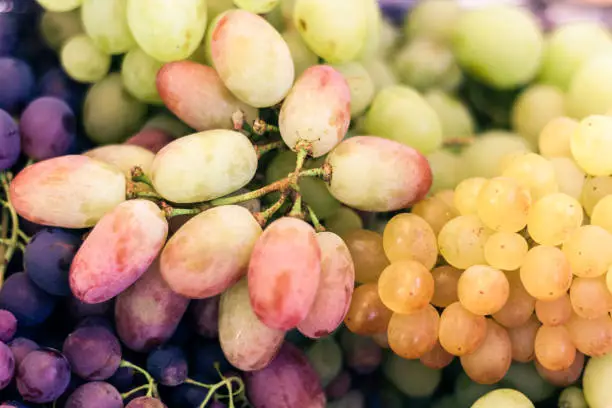 White and blue grapes background texture, autumn harvest