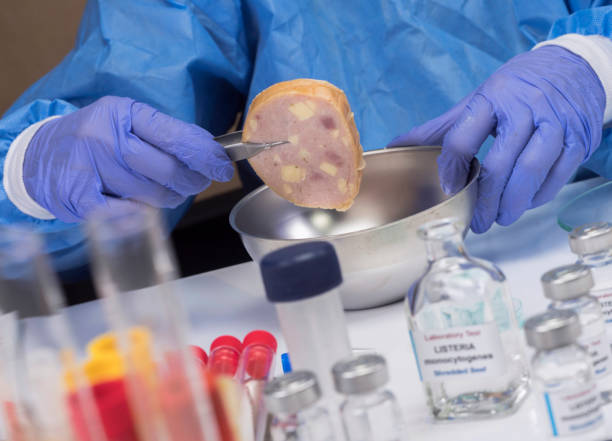 l'esperto analizza la carne ripiena contaminata dal batterio della listeria in laboratorio, germoglio causato in spagna - listeria foto e immagini stock
