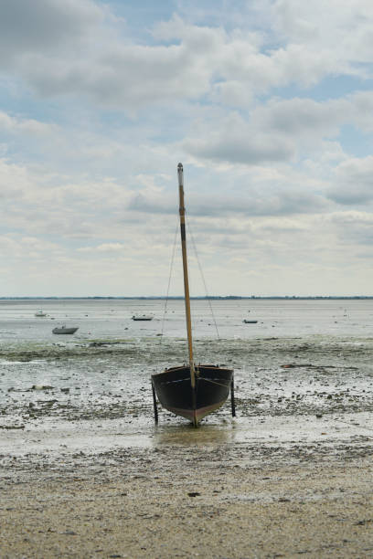 istock Cancale low tide boats 1171482492