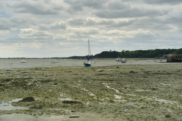 istock Cancale oyster-growing oyster park 1171483786