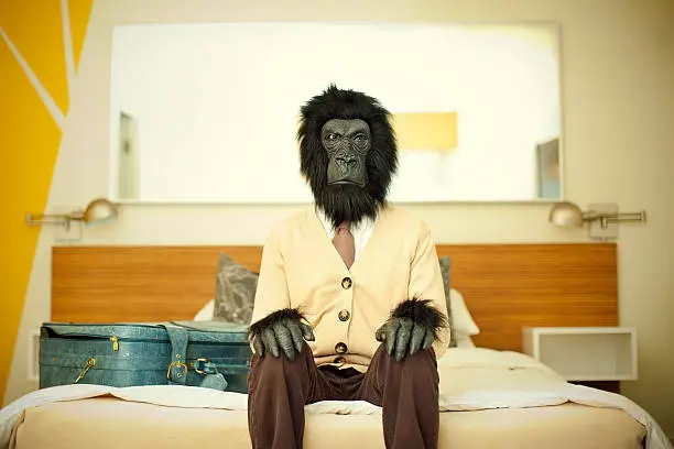 Photo of Gorilla Business Man in Hotel Room