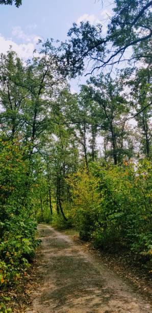 istock Beautiful Autumn day hike in the Forrest 1171485527