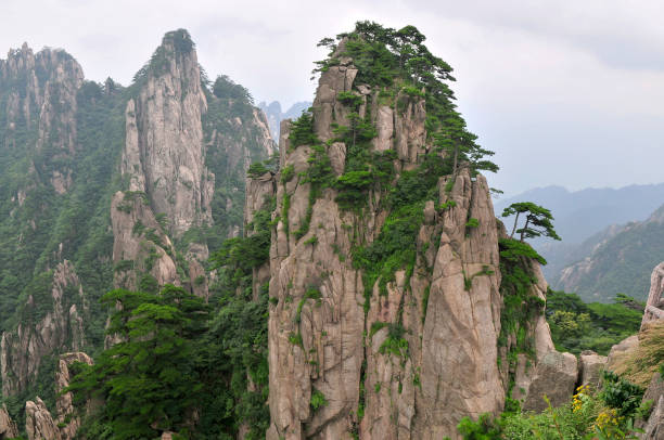 Landscape of Huangshan Mountains China Beautiful peaks with pine trees in Yellow Mountains, cloudy summer day, southern Anhui province in eastern China. huangshan mountains stock pictures, royalty-free photos & images