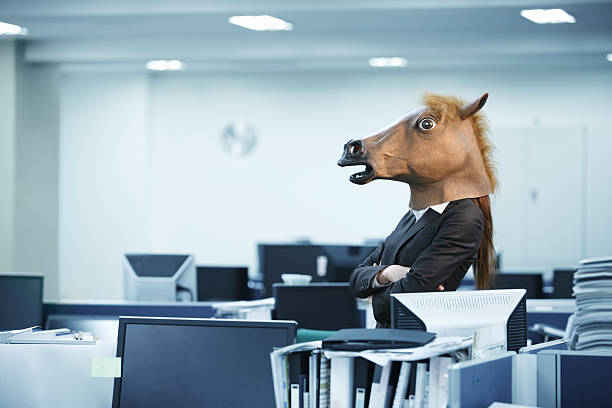 bossy horse in office - gekke paarden stockfoto's en -beelden