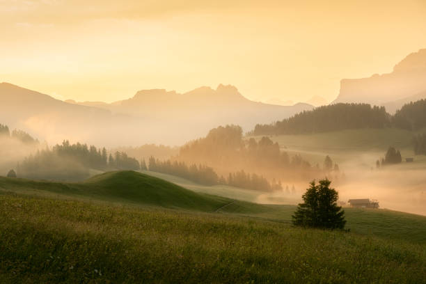 スキー リゾート ザイザー アルム - travel seiseralm mountain european alps ストックフォトと画像