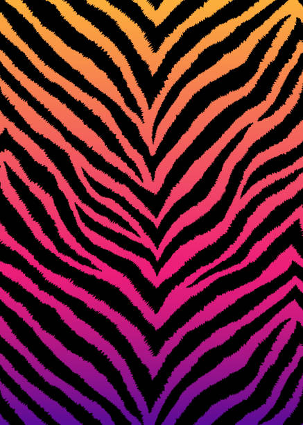 zebra, tiger-print, tierhaut mit zickzacklinien, streifen. abstrakter hintergrund. detaillierte handgezeichnete vektor-illustration. exotische farbverlauf plakat, banner. - tierimitation stock-grafiken, -clipart, -cartoons und -symbole