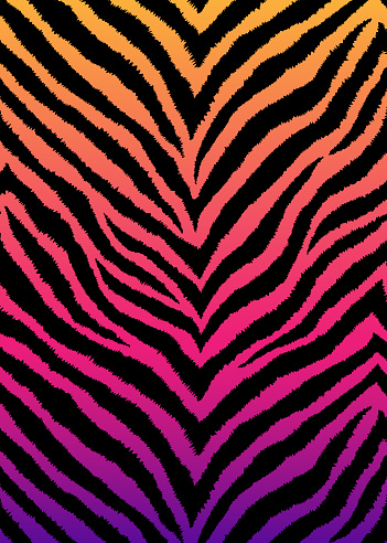 Zebra, tiger print, animal skin with zigzag lines, stripes. Abstract background. Detailed hand drawn vector illustration. Exotic gradient poster, banner.
