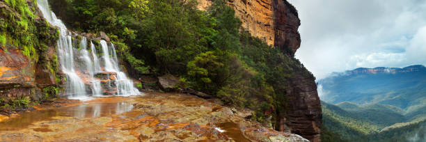 katoomba cae en las montañas azules, new south wales, australia - rainforest waterfall australia forest fotografías e imágenes de stock