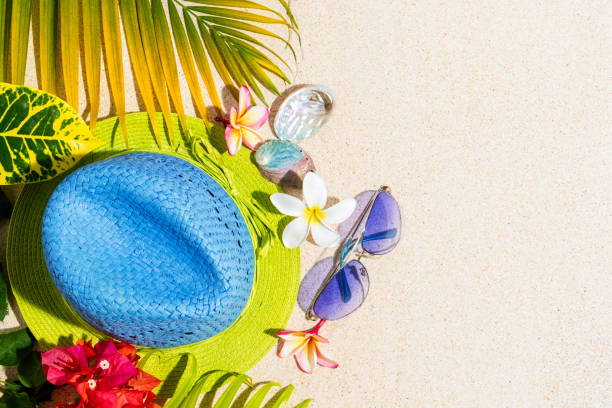 Blue and green straw hat with sunglasses, sea shells and frangipani flowers with green palm leafs on sand, summer vacation concept, top view, copy sapce stock photo