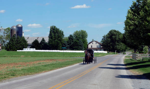istock Amish Horse and Buggy Going down the Road 1171495313