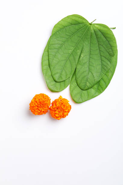 istock Happy Dussehra greeting card 1171496042
