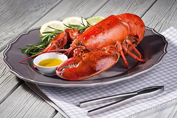 Photo of Close up of fresh steamed lobster with herbs in grey plate
