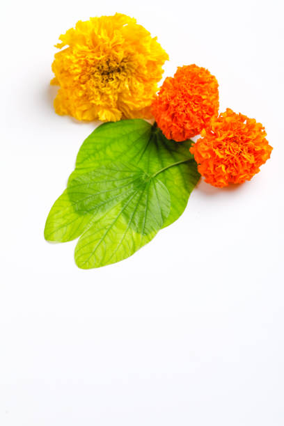 istock Happy Dussehra greeting card 1171496596