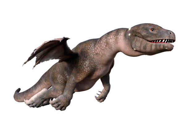 istock 3D illustration fantasy dragon on white 1171499773