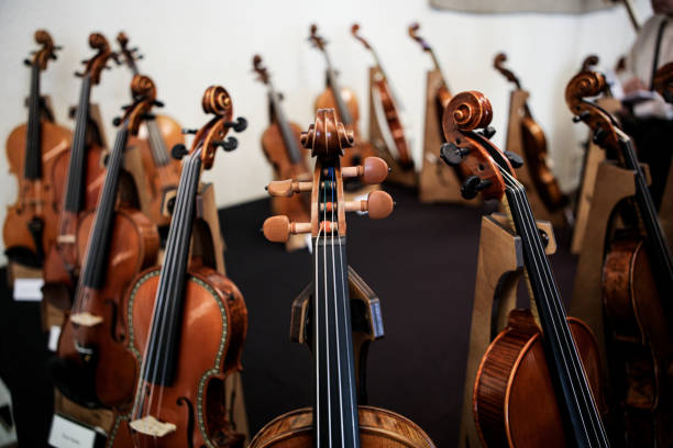 istock Details with the scroll, peg box, tuning pegs, strings, neck and fingerboard of a violin before a symphonic classical concert 1171500019