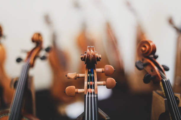 istock Details with the scroll, peg box, tuning pegs, strings, neck and fingerboard of a violin before a symphonic classical concert 1171500118
