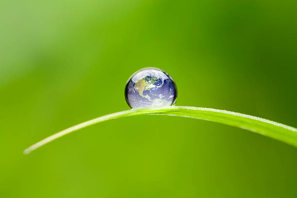 Small Earth North America. Nature Water Environment Green Drop World Macro 4x of a waterdrop on a green blade of grass reflecting our earth. Focus on foreground. Shallow depth of field. North America earth orientation. blade of grass photos stock pictures, royalty-free photos & images