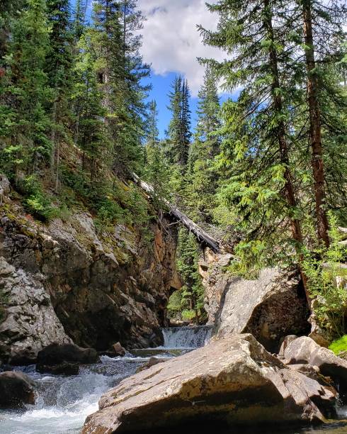 istock Trout Fishing 1171503765
