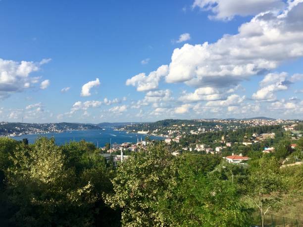 istock Istanbul bosphorus at sunny day with clouds 1171505153