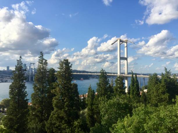 istock Istanbul bosphorus at sunny day with clouds 1171505345