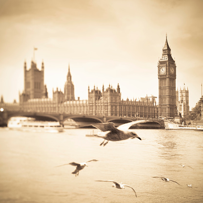 The Houses of Parliament and Big Ben in sepia, Tilt & Shift lens used - London -UK .