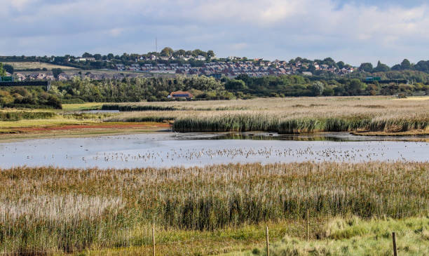 istock Farlington Marshes Portsmouth 1171507404
