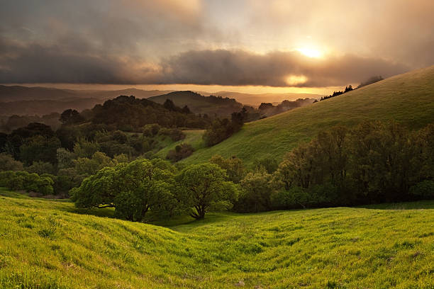 puesta de sol en la primavera prado - paisaje ondulado fotografías e imágenes de stock