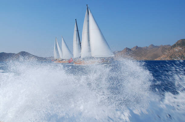 sailing boat